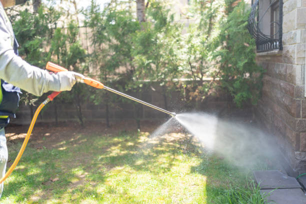 Best Seasonal Pest Control (e.g., summer mosquitoes, winter rodents)  in Lecanto, FL